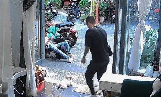 Outrage after foreigner kicks pet dog at Da Nang spa, breaking three ribs - VnExpress International