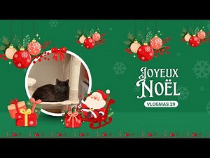 🎄[VLOGMAS 29]: Let's continue the setup. (Leroy Merlin, ACTION, ColorPop, Blabla)