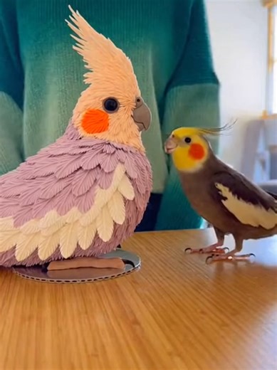 Understanding Cockatiel Behavior: Fun Insights
