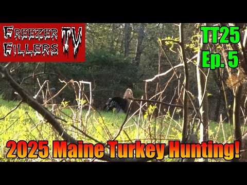 Maine Turkey Hunting! Big Tom Down! TT25E5