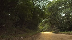 'Road trips aren't measured by mile markers, but by moments.' There is nothing better than a road trip. Just you, the open road, and the adventures that await. The best part is not about where you're heading, but all the things that happen along the way. We're dreaming of the day - in the not too distant future - when you can hit the road again and find adventure in the Western Cape. | Discoverctwc