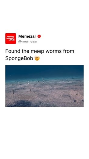 MEMEZAR • MEMES & MEME-CULTURE on Instagram: "🐟 The Meep worms are one of SpongeBob’s most absurd background details. In SpongeBob SquarePants, they appear as tiny creatures that simply say “meep” over and over, adding chaos without explanation. They exist purely for sound, timing, and randomness. What makes them memorable is how unnecessary they are. The Meep worms do nothing important, but that is exactly why they stick, perfectly capturing SpongeBob’s commitment to weirdness just for the sak