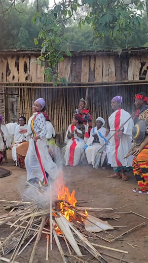 332 reactions · 20 shares | Dance of the Dorze From the highlands of Southern Ethiopia, the Dorze Tribe share their vibrant songs and traditional dances, a true heartbeat of Ethiopian culture. #Ethiopia #LandOfOrigins #VisitEthiopia #Dorzetribe #goethiopiatours #omovalleyguideethiopia #natgeotravel #natgeo #natgeoafrica #travelblogger #travelgram | Solomon Gezu | Facebook