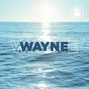 9.9K views | Lumberjack on Reels | Facebook