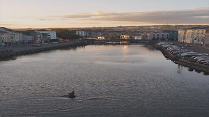 'Amazing sight' as dolphins swim down River Lee