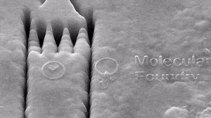 Science Made Simple: What is Nanoscience?