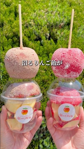 [Kagawa Gourmet] Apple Candy Specialty Shop Ame nochi Ringo #japanesefood