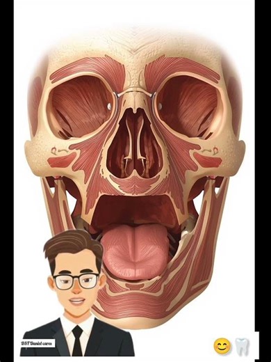 cleft plate and it treatment #oralhygiene #oralhealth #dentalhealth #cleftsurgery #cleftawareness #