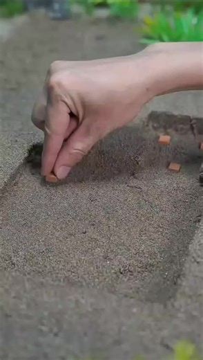 Building a Mini House with Small Bricks