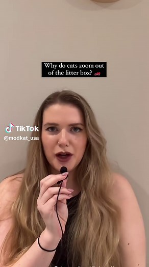 Litter box ZOOMIES decoded. 🏎️🐈✌🏽