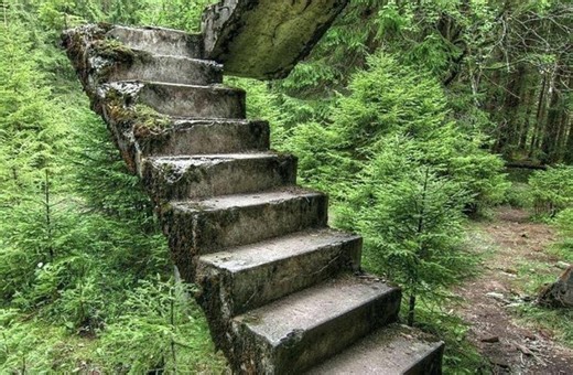 Staircases in the Woods