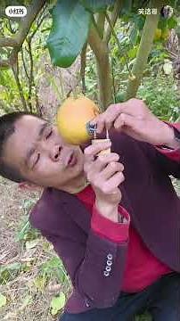 The FUNNIEST Videos Of 2025 (So Far)