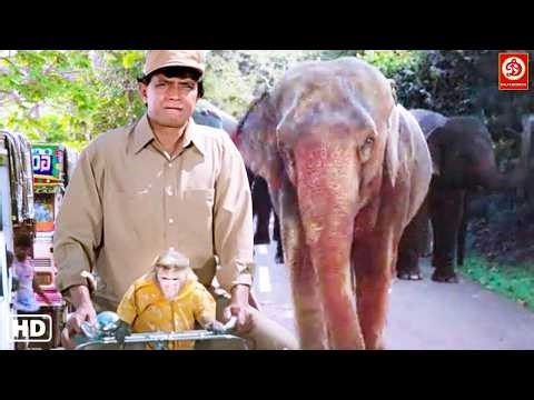 मिथुन & संजय दत्त की बंदर, हाथी और कुत्ते वाली धमाकेदार ब्लॉकबस्टर एक्शन मूवी Mithun Vs Sanjay Dutt