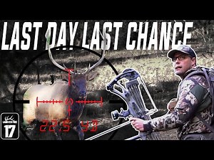 BOWHUNTING Fighting bulls ( Oregon Elk Hunting) LOF EP 17