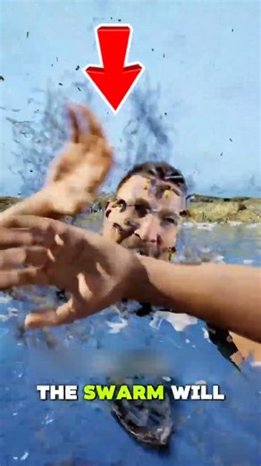 Never Do This During a Bee Swarm Attack 😳🐝