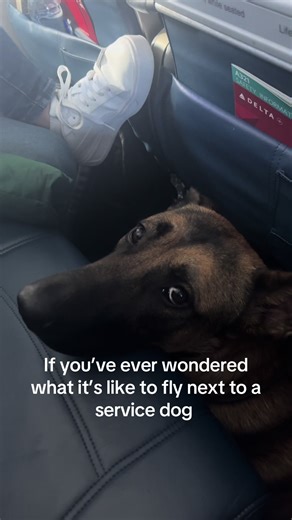 Here’s what I look at while we fly 🥹 uggh I just can’t get enough of that face