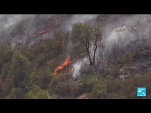Deadly fires in Algeria: 71 dead, around twenty arsonists arrested • FRANCE 24
