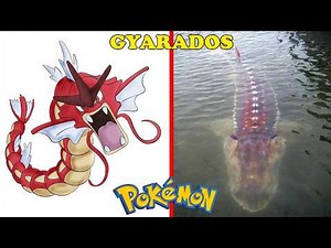 25 Real Life Pokemon-Like Creatures That Exist In The World