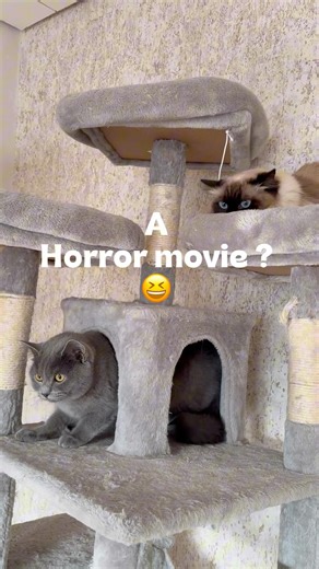 Special guest at our home 😆🩷