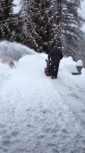 #JustAussieThings 😂 | Best of Aussies Doing Things