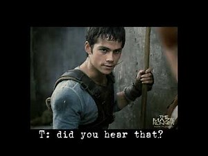 Maze runner x y/n part 3