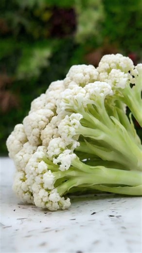 Go Troppo Fruit Market on Instagram: "Fioretto is back and looking the goods again. Clean, fresh and that little nutty flavour we all love. Tassie growers have kicked in and the quality shows. If you’ve never had it, now’s a good time to give it a go. Keep it fruity. #GoTroppoFruitMarket #fioretto"