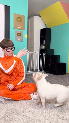 Vector | Magical dog | Instagram