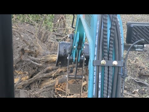 cleaning up and pulling stumps!