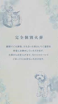 【ペット火葬の流れ】大阪ペット霊園社｜安心の個別火葬・丁寧なご供養のご案内