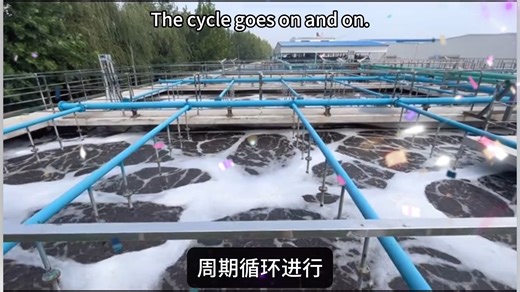 CASS自动实验装置CASS Automatic experimental device