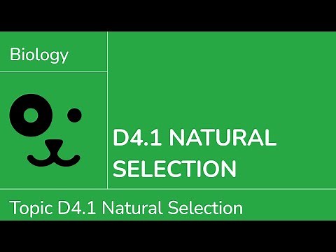 D4.1 Natural Selection [IB Biology SL/HL]
