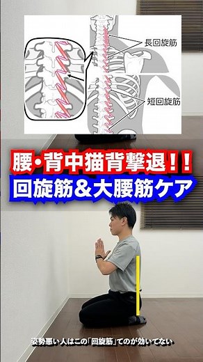 【腰猫背】多裂筋より回旋筋⁉︎恐ろしく背骨を縦に立ち上げる短回旋筋トレーニング #猫背 #大腰筋 #回旋筋