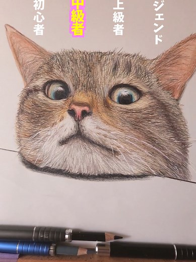 ネコの描き方ガイド: レベル別イラスト