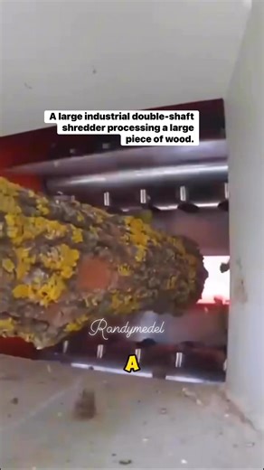 • The machine uses two rotating shafts with intermeshing blades to tear and crush materials. • These types of shredders are commonly used for processing various solid materials, including #followereveryonehighlights #hilightseveryonefollowers #letsgrowtogethereveryone #StarsEverywhere #viralfbreelsfyp #viralvideo | Randy Medel