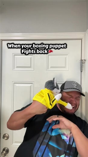 Animal boxing puppet