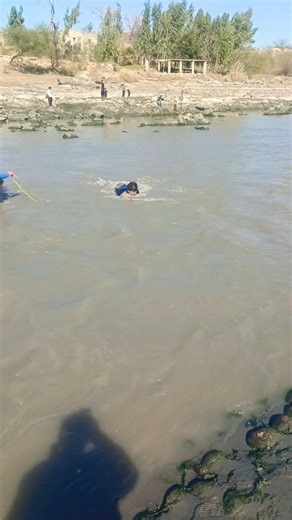 River local fishing | hand catch china fish 🐠#fishing #viralshorts #fish