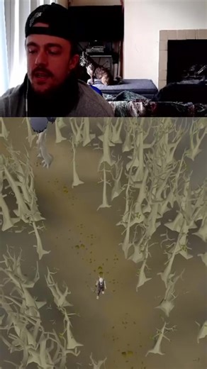 80 ranged … grind begins now #fyp #osrs #oldschoolrunescape #slayer #wilderness