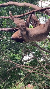 177 reactions · 14 shares | Paint your own colorful masterpiece,...