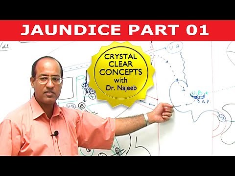 Jaundice | Part 1