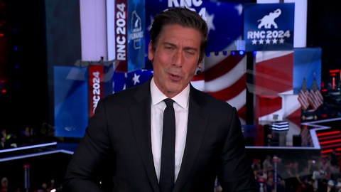 Diver swims alongside blue whale