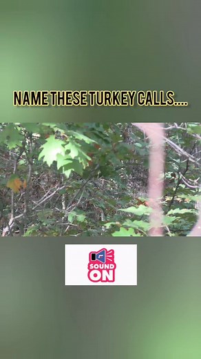 Turkey calls that aren't often heard. Can you name these two calls? #MichiganOutdoorsReport #turkeyhunting #turkey #huntworth #tarnen #disruption | Michigan Outdoors Report