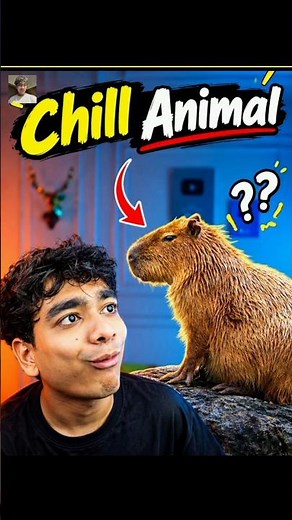 The World Most Chill Animal 😱