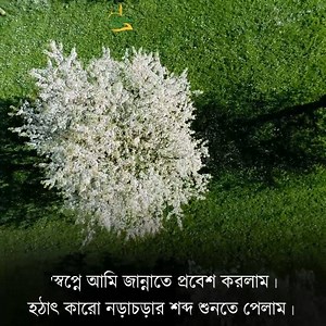 1.6M views · 130K reactions | নবী করিম (সাঃ) স্বপ্নে জান্নাতে প্রবেশ করে হঠাৎ কারো নড়াচড়ার শব্দ শুনতে পেলেন। ফেরেশতাদেরকে জিজ্ঞেস করলেন- 'ইনি কে'? আসুন জেনে নিই আমরাও... | Islamic Story - ইসলামিক গল্প | Facebook