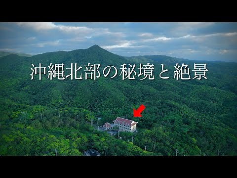 [A hidden place within a hidden place] In the subtropical forests of northern Okinawa... (Part 2)...