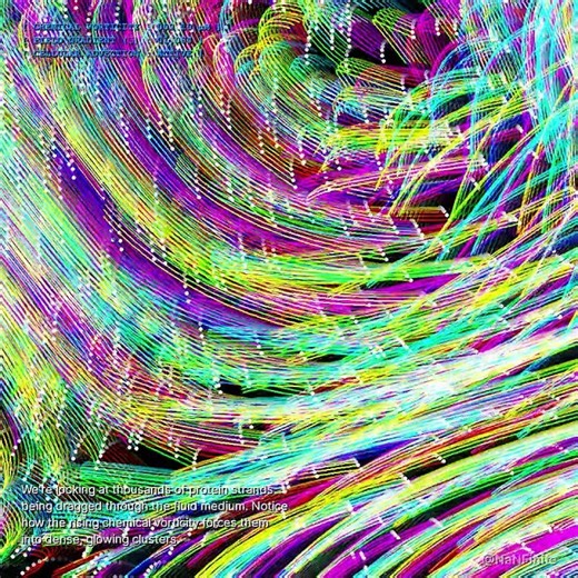 How Chemical Gradients Can Shape Living Matter 🧬#morphogenesis #biology