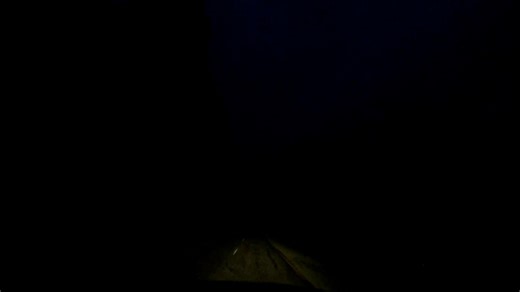 Pay attention to the right side. Shane and John almost had some expensive deer meat 🤣 | Ashley Greene