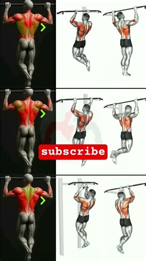 best back workout at home //pull ups home workout #pullups #backworkout #short #easystretch