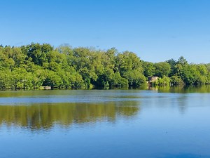 Coombe Heath and Lulworth Estate - Tess Of The Vale