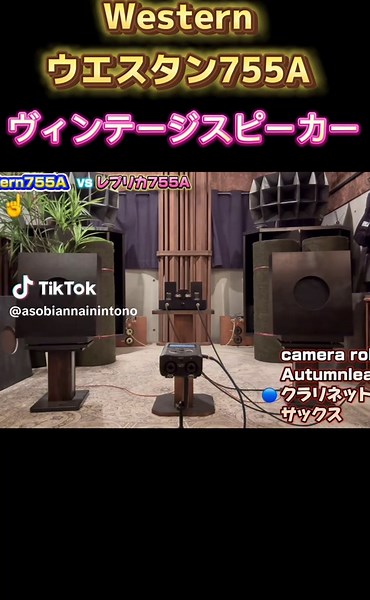 凄いスピーカー！#オーディオ #audio #スピーカー #speaker #WE755A#Western #shorts