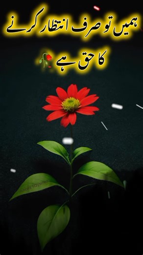 How to Increase Your TikTok Views and Engagement